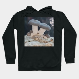 New Pearl Oyster Mushrooms Hoodie